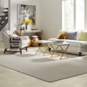 Living Room Area Rug | Xtreme Flooring Solutions