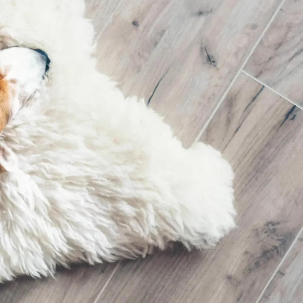 Lvt-inspiration-square